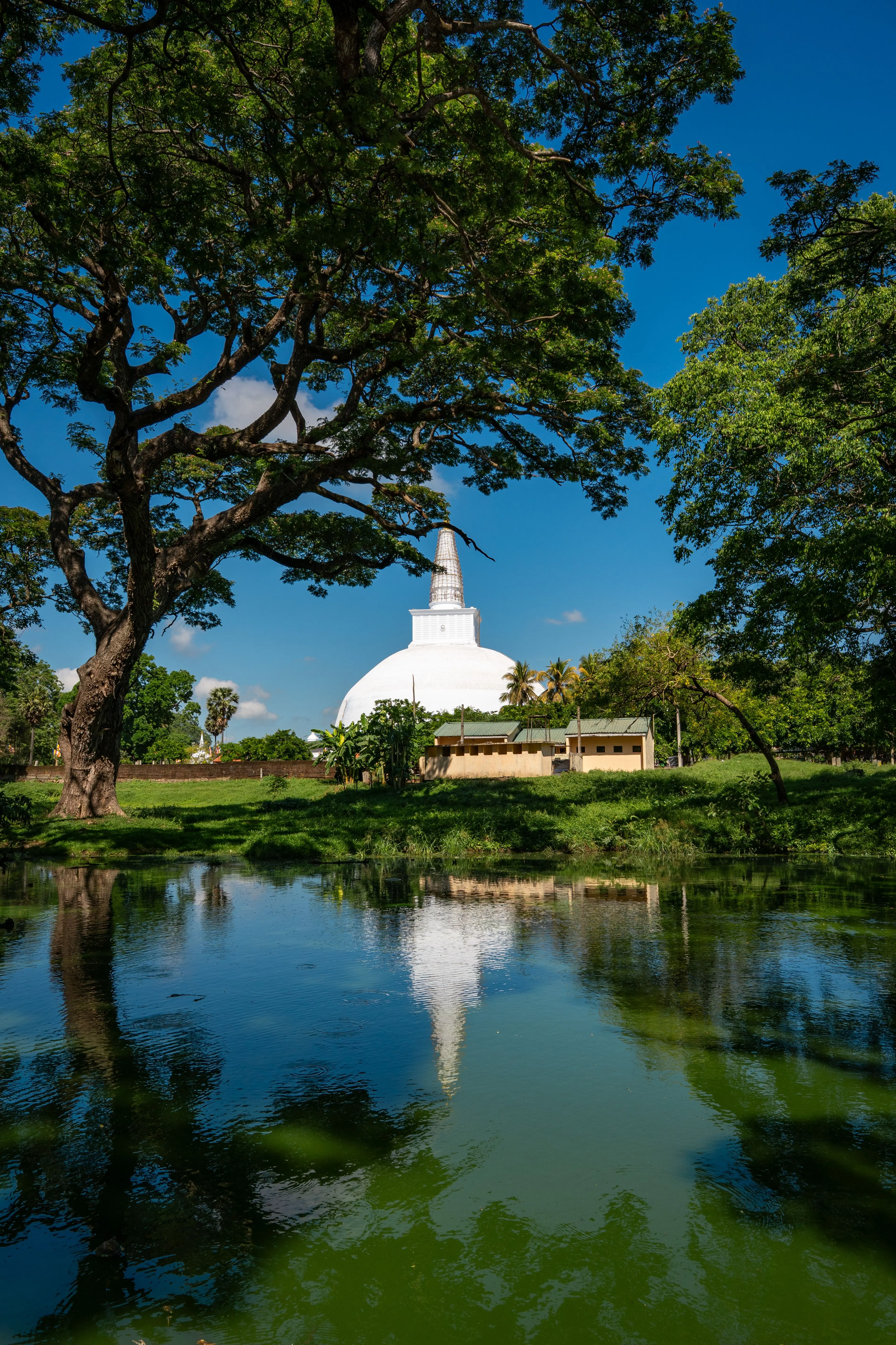 Anuradhapura Day Tour