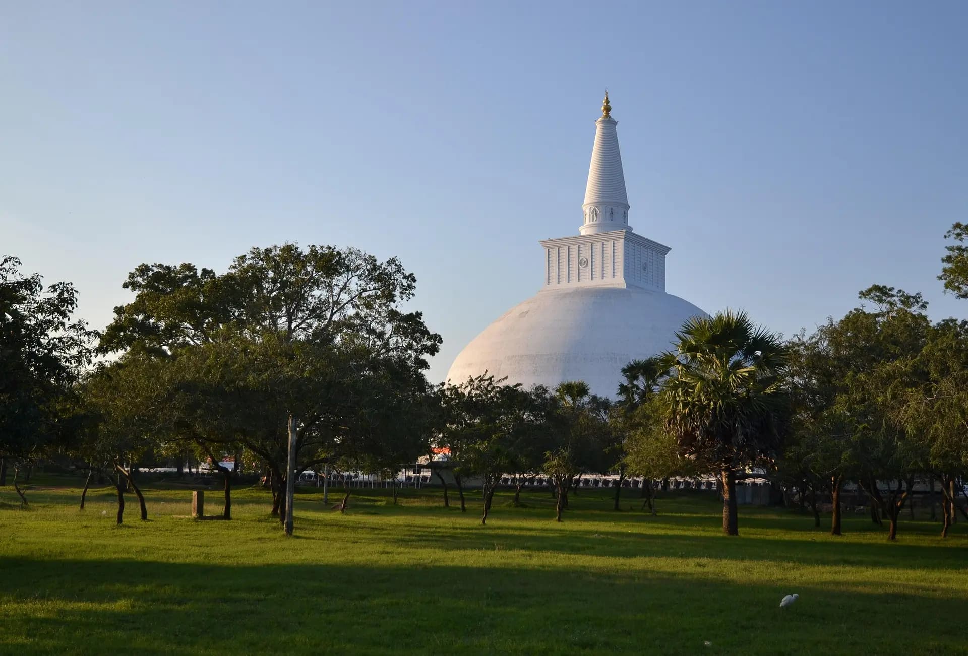 Anuradhapura Day Tour: Sri Maha Bodhi sacred tree
