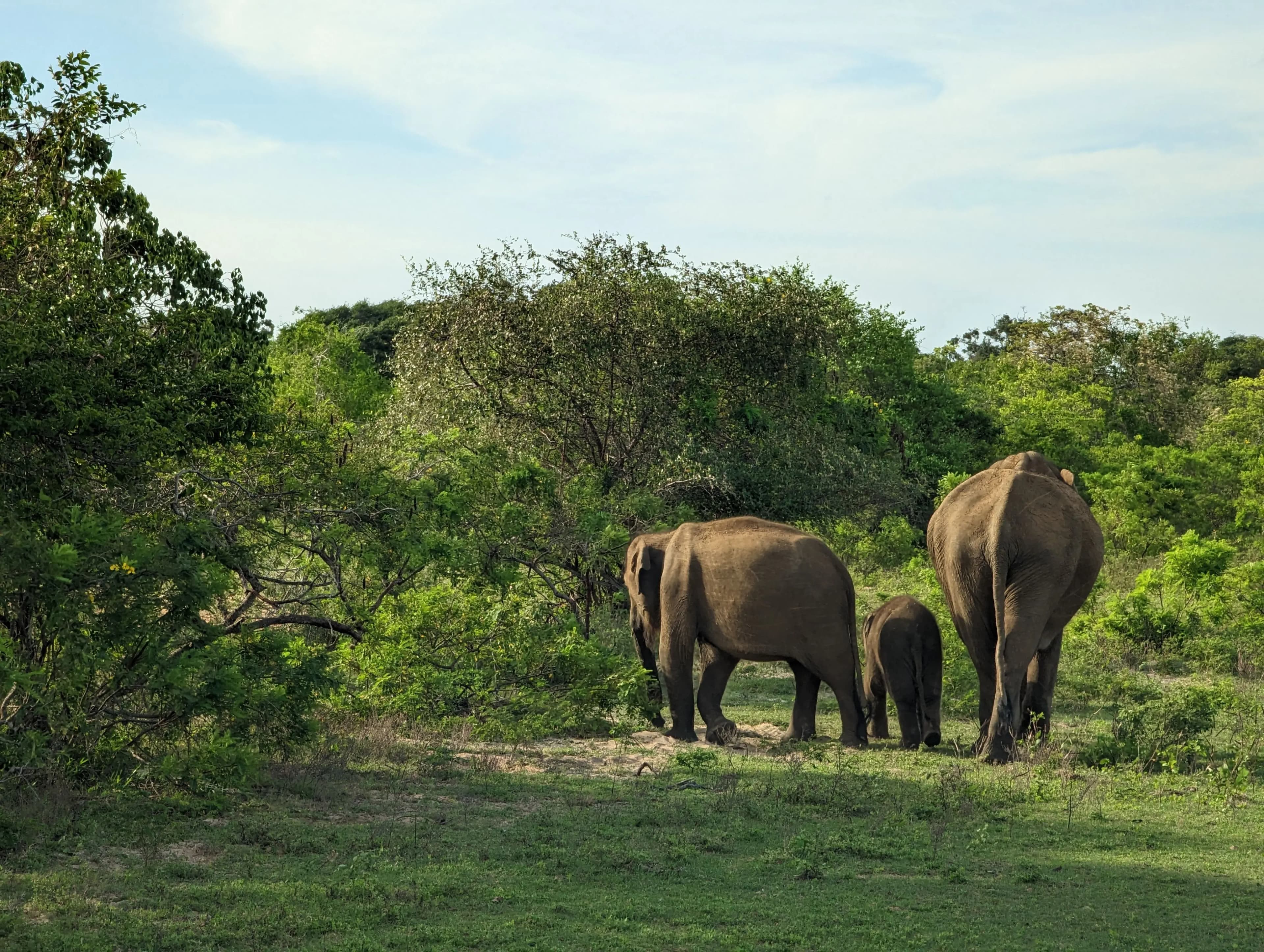 Wildlife & Nature